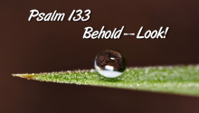 Psalm 133 - Behold--Look!