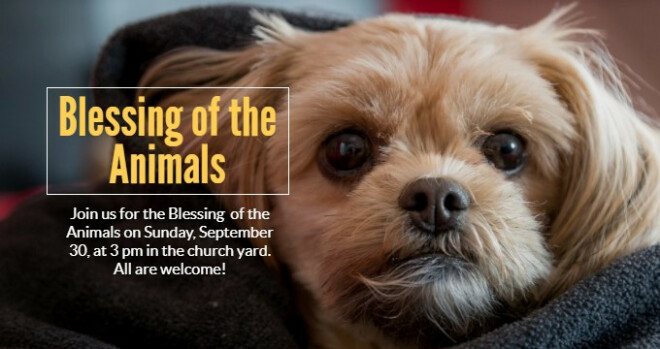 3 pm Blessing of the Animals