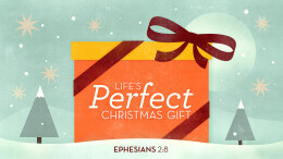 Life's Perfect Christmas Gift