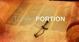 torah-portion