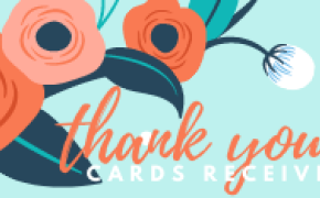 Thank You Notes & Cards 
