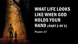 What life looks like when God holds your hand (part 2 of 2)