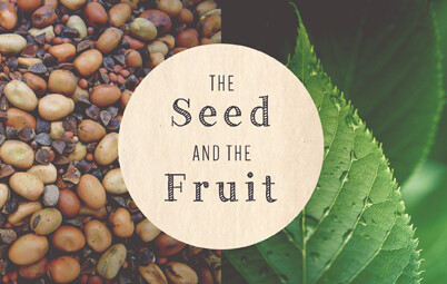 The Seed and the Fruit Part 2