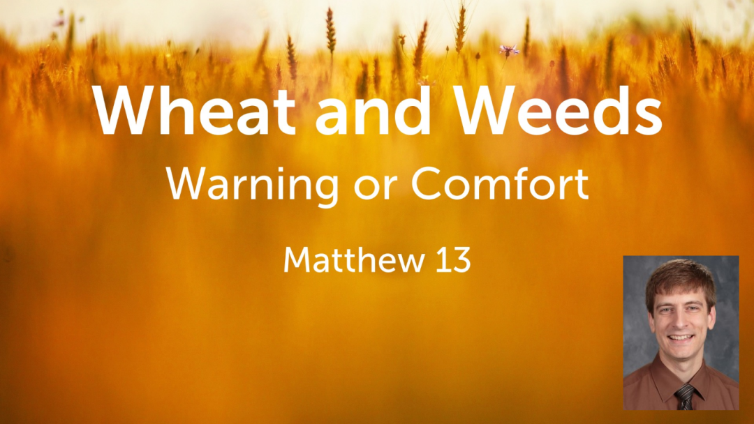 Wheat and Weeds: Warning or Comfort?