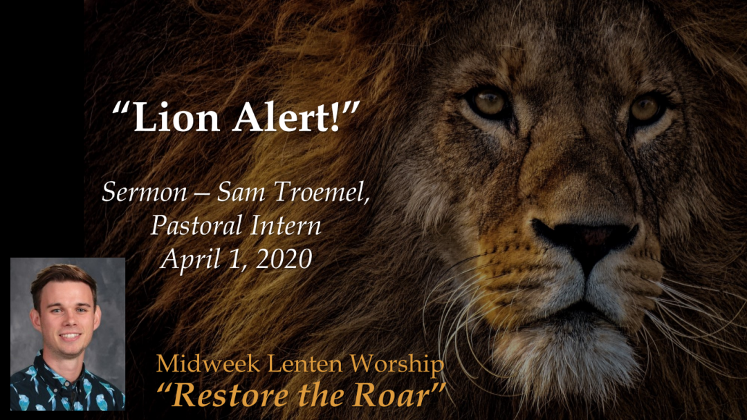 Lion Alert