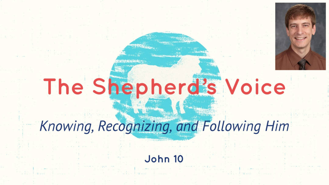 The Shepherd's Voice (2020)
