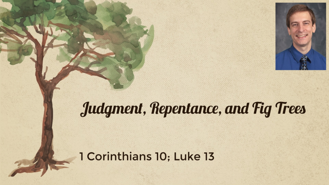 Judgment, Repentance, and Fig Trees