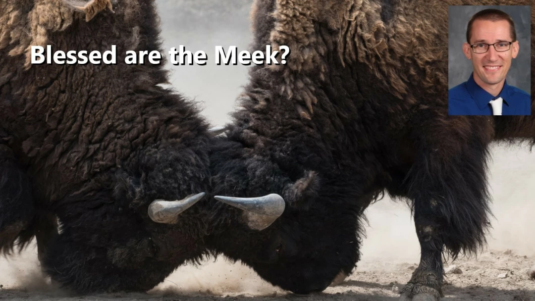 Blessed are the Meek?