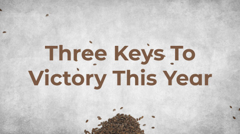 Three Keys To Victory This Year