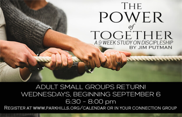 Adult Small Groups