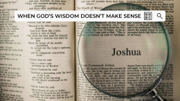 When God's Wisdom Doesn't Make Sense