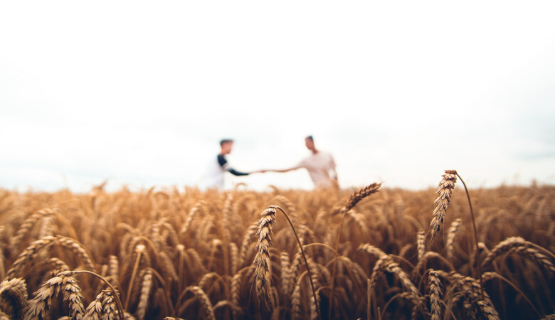 The Compassion of Lord of the Harvest (Matthew Sermon 34 of 151)