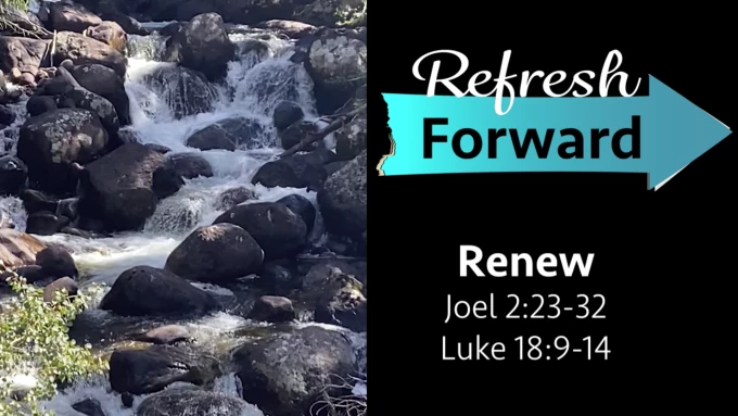 Renew