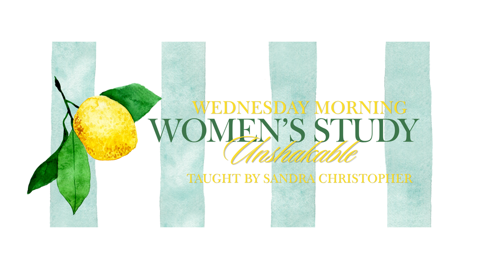 Wednesday Morning Women's Bible Study Begins