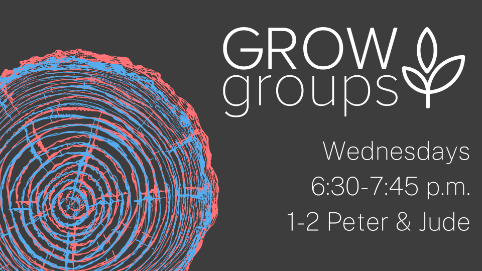 Adult Grow Groups