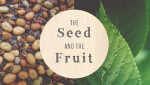 The Seed and the Fruit Part 2