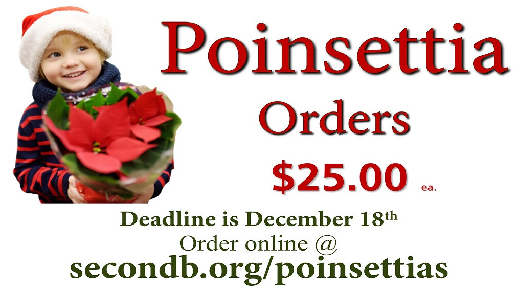 Poinsettia Orders