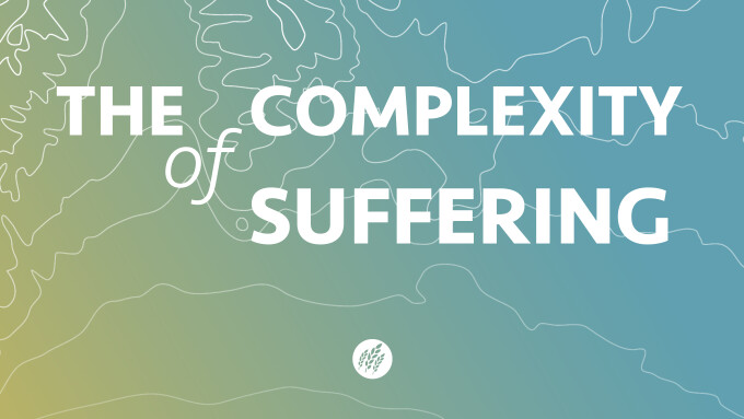 The Complexity of Suffering
