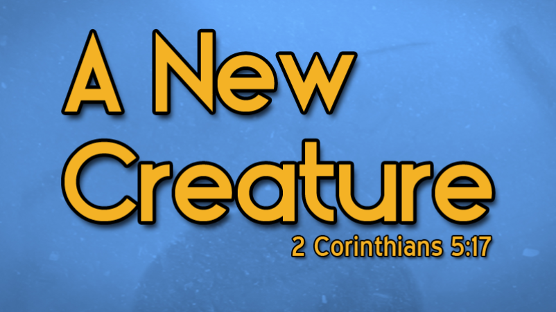 A New Creature (1/15/17)