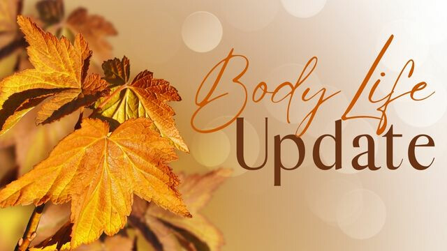 Fall Body Life Update