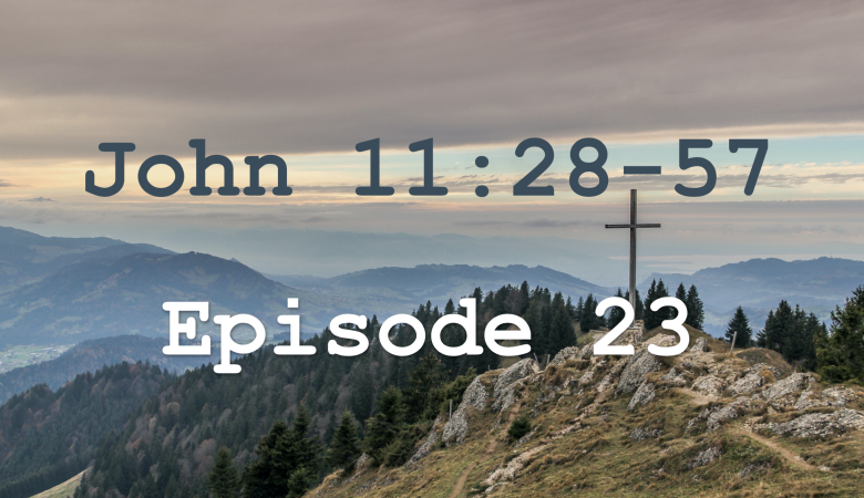 John 11:28-57  Episode 23 - Lazarus, Come Out!