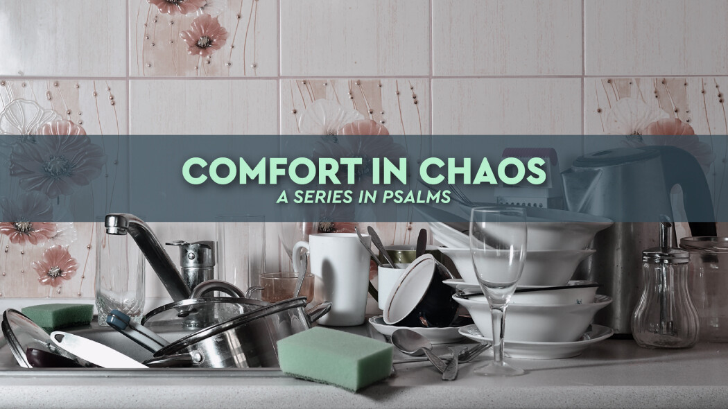 Comfort in Chaos