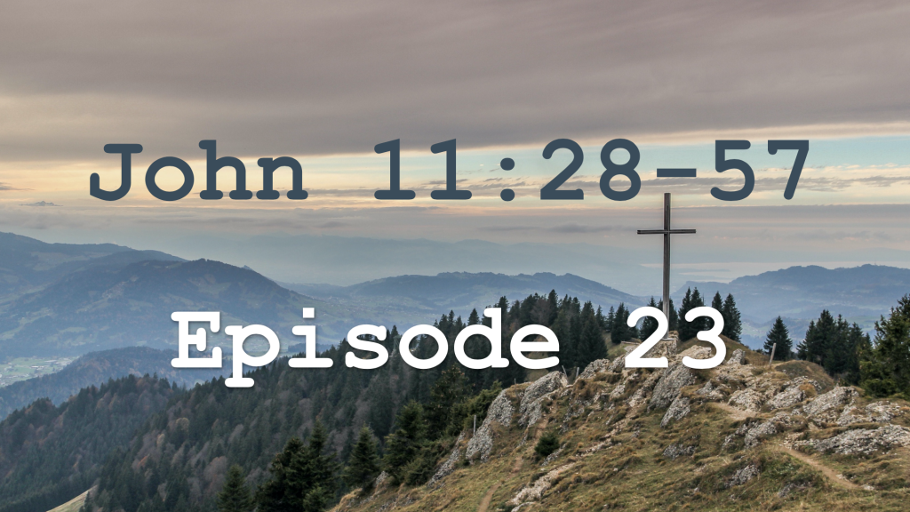 John 11:28-57  Episode 23 - Lazarus, Come Out!