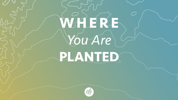 Where You Are Planted