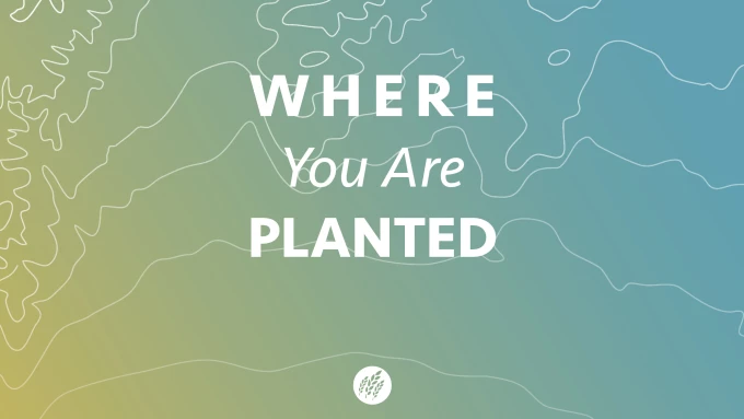 Where You Are Planted