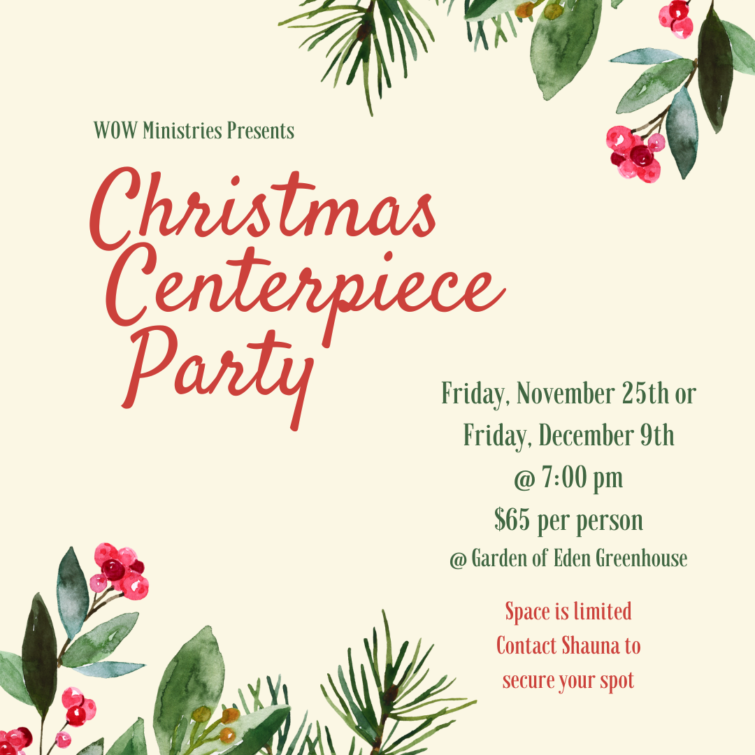 Christmas Centerpiece Party (December 9th)