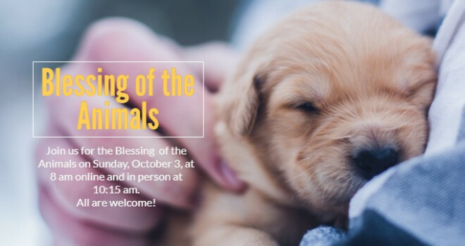 Blessing of the Animals, 8 am online and in person at 10:15 am