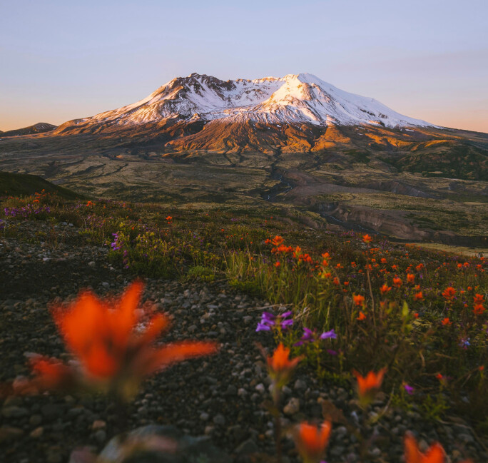Mount St Helens today