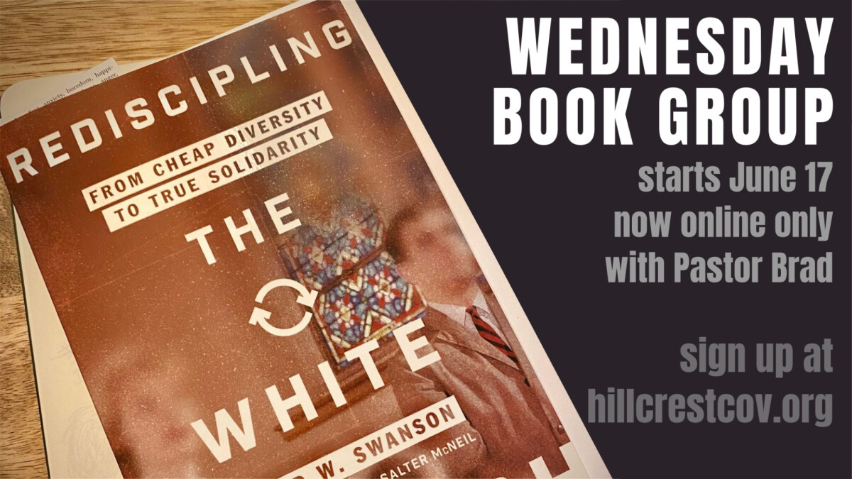 Rediscipling the White Church online book group