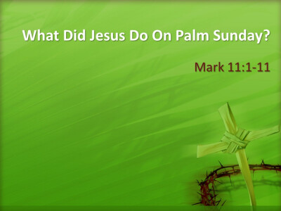 What Did Jesus Do On Palm Sunday