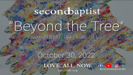 Beyond the Tree - October 30, 2022 Worship Service