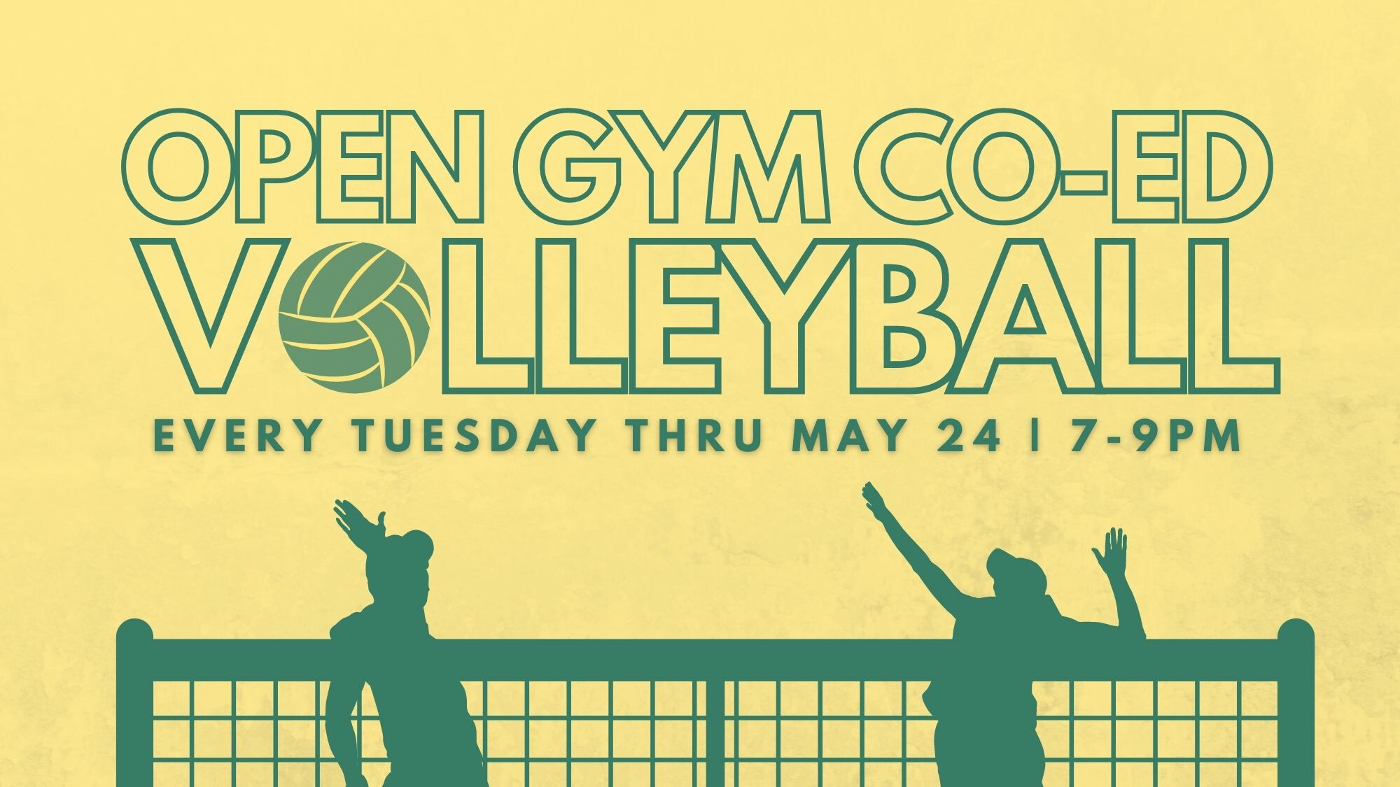 Co-Ed Volleyball