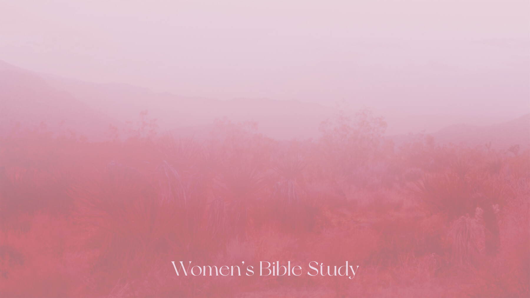 Women's Bible Study (Betty Stahl)