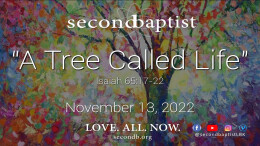 A Tree Called Life - November 13, 2022 Worship Service