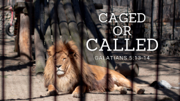 The Heart of Serving 8: Caged or Called