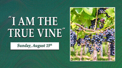 "I Am the True Vine" Sun. Aug. 15, 2021