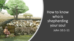 How to know who is shepherding your soul