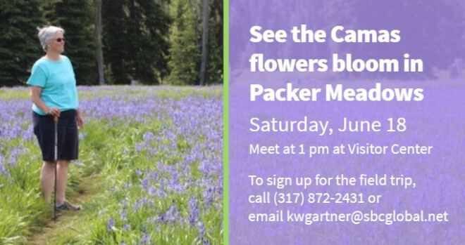 Packer Meadows Camas Fields Field Trip