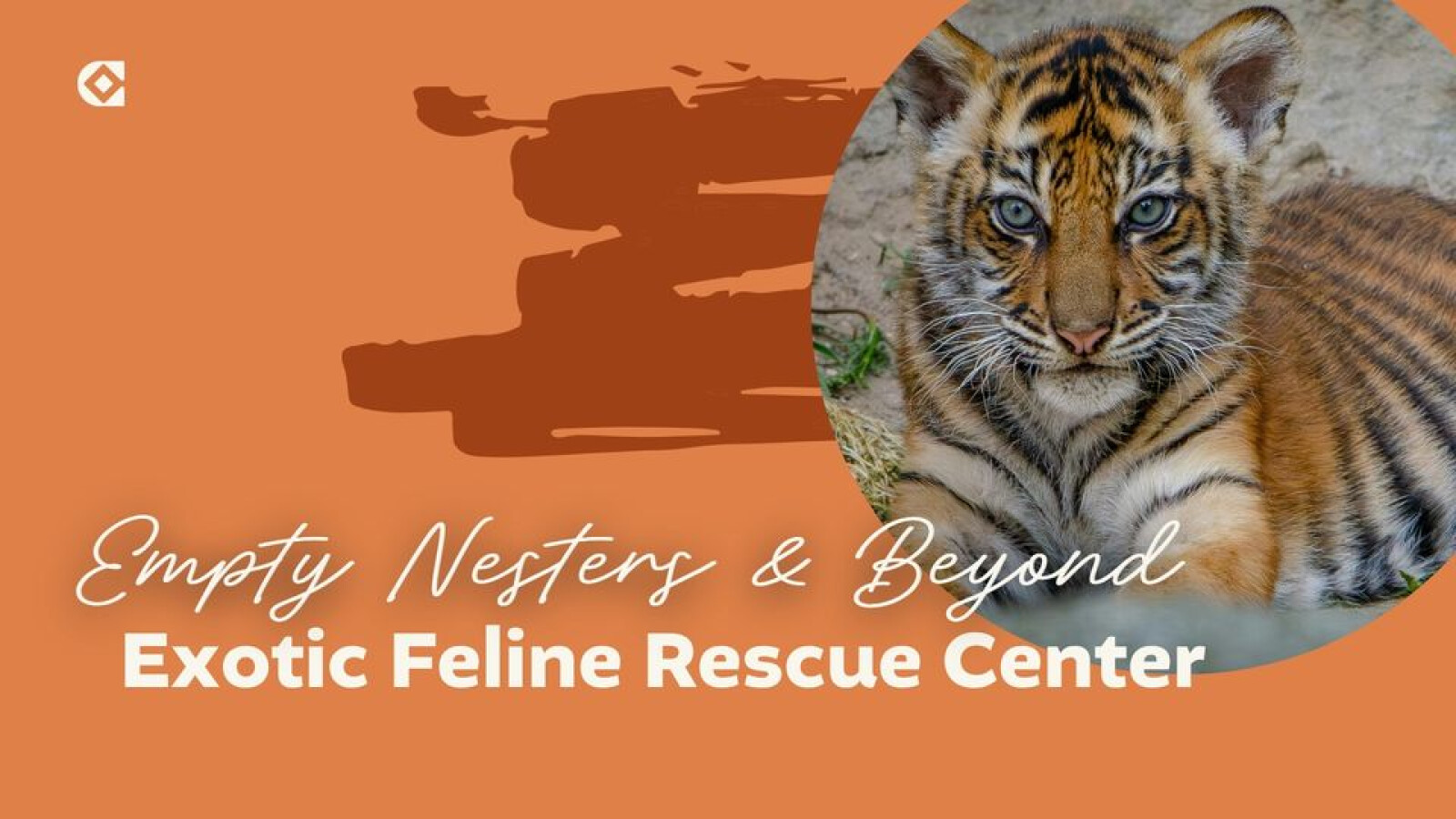 Empty Nesters & Beyond Exotic Feline Rescue Center Tour