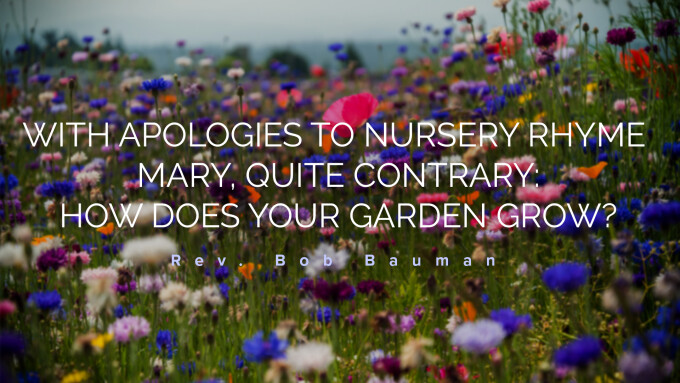 With Apologies To Nursery Rhyme Mary, Quite Contrary: How Does Your Garden Grow?