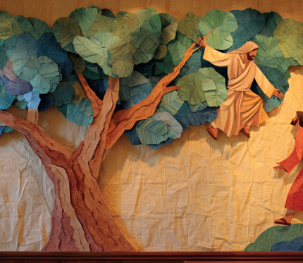 What Would You Climb a Tree For?