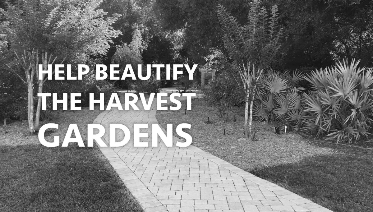 HELP BEAUTIFY THE HARVEST GARDENS 