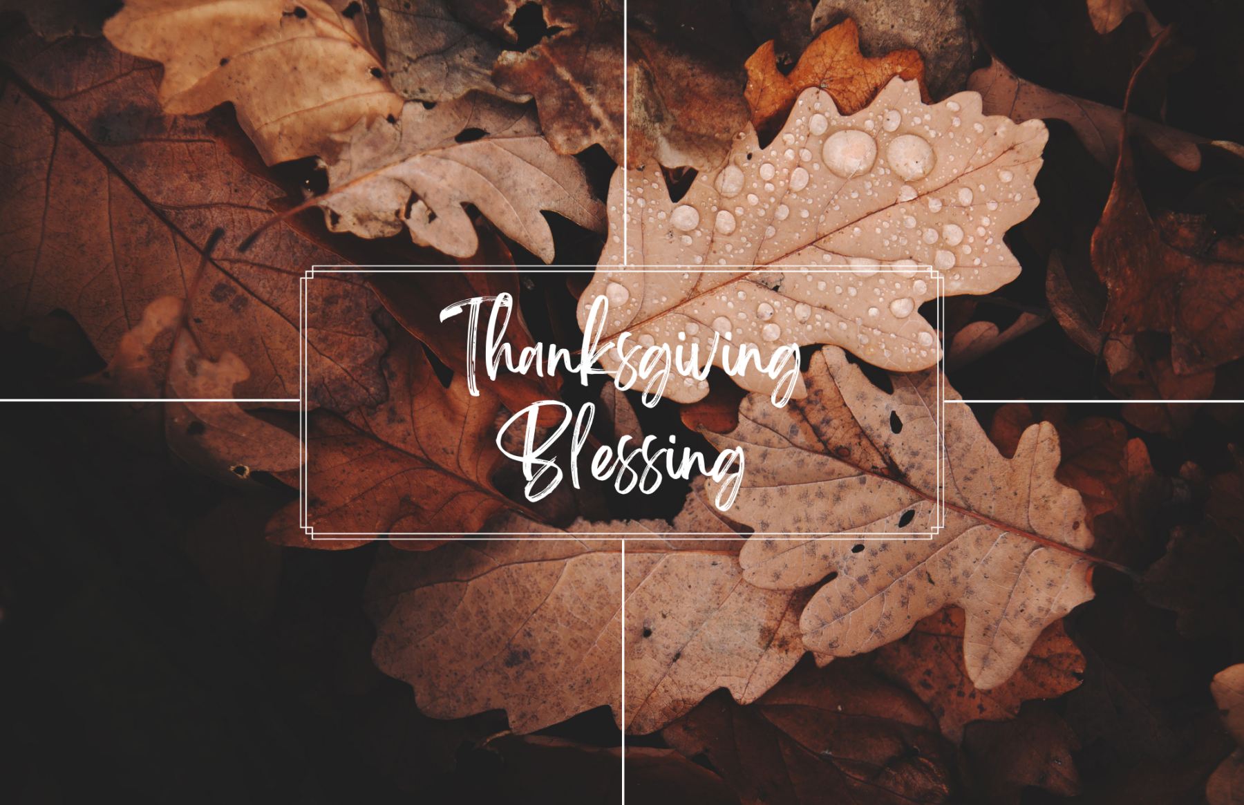 Thanksgiving Blessing