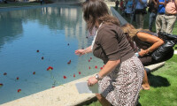 Jamie Martin-Currie, Missioner for Christian Education, placing a flower in the Reflection Pool